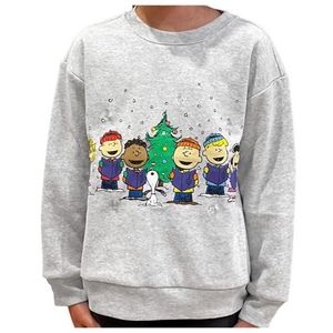 Peanuts | Shirts u0026 Tops | Nwt Peanuts Snoopy Christmas Kids Unisex Light Up  Sweatshirt Grey Heather 8 | Poshmark